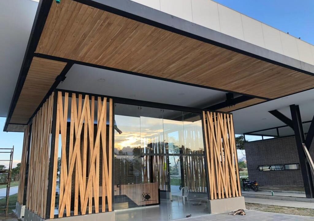 WhatsApp Image 2025-02-17 at 1.31.48 PM